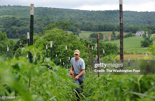 June 2009 CREDIT: Katherine Frey / TWP. Round Hill, VA. Ex-CIA guy turned farmer Jim Dunlap wants to get young people into farming Jim Dunlap tends...