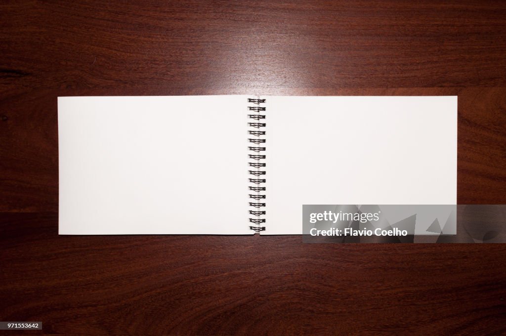 Two page view of an open sketchbook with blank pages