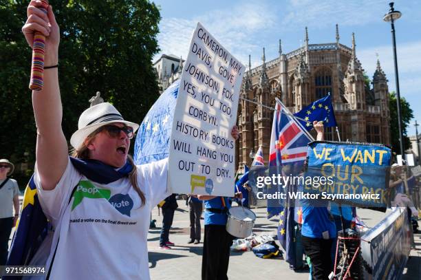 Group of pro-EU supporters gather outside the Houses of Parliament in support of the Commons debate on a petition that 'Parliament's vote on the...