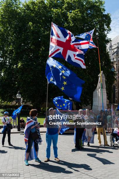 Group of pro-EU supporters gather outside the Houses of Parliament in support of the Commons debate on a petition that 'Parliament's vote on the...