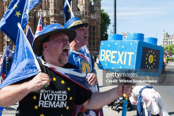 Group of pro-EU supporters gather outside the Houses of Parliament in support of the Commons debate on a petition that 'Parliament's vote on the...