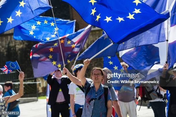 Group of pro-EU supporters gather outside the Houses of Parliament in support of the Commons debate on a petition that 'Parliament's vote on the...