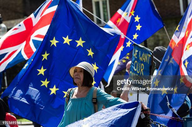 Group of pro-EU supporters gather outside the Houses of Parliament in support of the Commons debate on a petition that 'Parliament's vote on the...