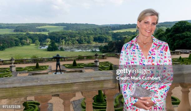 Sophie, Countess of Wessex attends a charity reception and dinner at Harewood House on June 11, 2018 in Leeds, England.