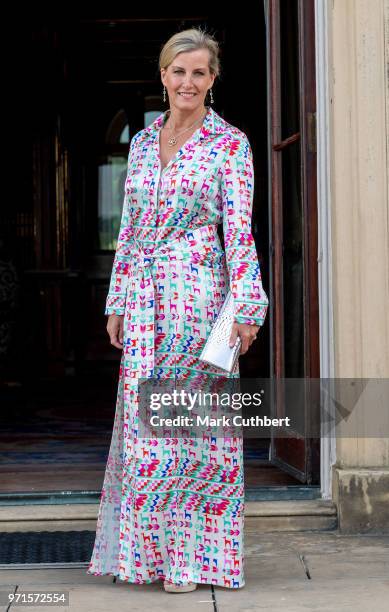 Sophie, Countess of Wessex attends a charity reception and dinner at Harewood House on June 11, 2018 in Leeds, England.