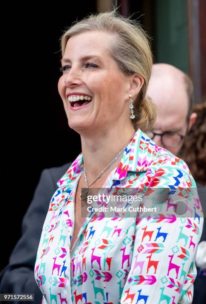 Sophie, Countess of Wessex attends a charity reception and dinner at Harewood House on June 11, 2018 in Leeds, England.