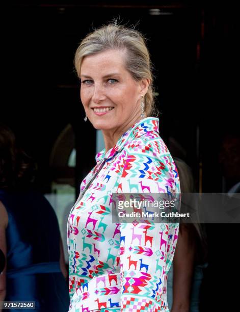 Sophie, Countess of Wessex attends a charity reception and dinner at Harewood House on June 11, 2018 in Leeds, England.