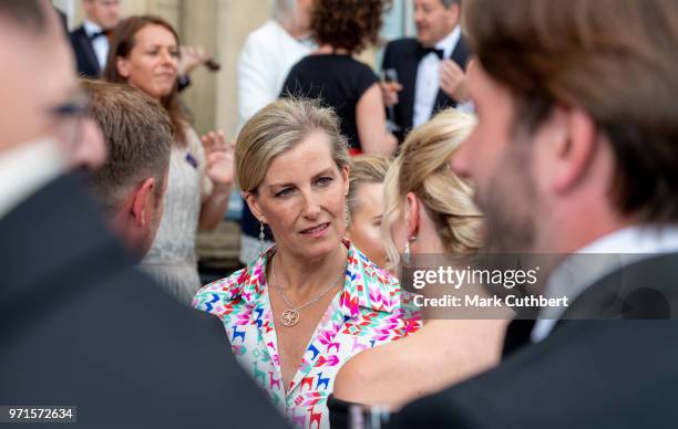 Sophie, Countess of Wessex attends a charity reception and dinner at Harewood House on June 11, 2018 in Leeds, England.