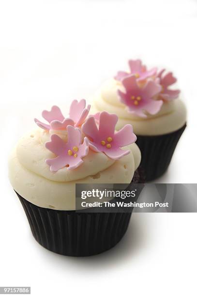 Washington Post Studio DATE: April 1, 2009 PHOTO: Julia Ewan/TWP From Fluffy Thoughts, a custom-order cake business in McLean; call 571-213-1513 or...