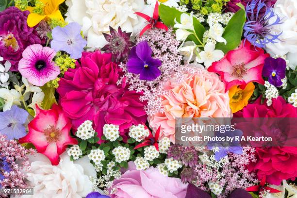 arrangement of june garden flowers viewed from above - floral wallpaper stock pictures, royalty-free photos & images