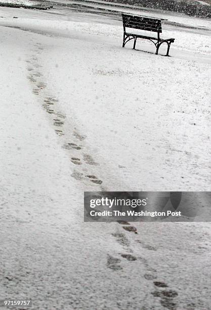 Me_weather DATE: 1/17/08 PHOTOG: Sarah L. Voisin Washington, DC NEG NUMBER: 197332 A snow storm settled over Washington Thursday morning. PICTURED:...