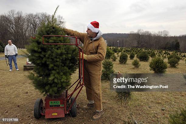 Me/ecotree DATE: December 20, 2008 NEG: 205491 CREDIT: Ricky Carioti / TWP. Feezers Farm in Marriottsville, Md. John Feezer at the farm where he...
