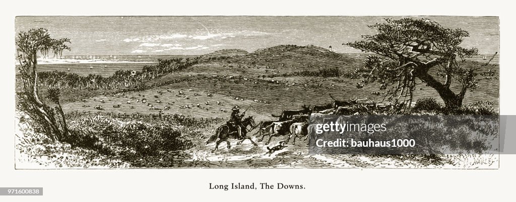 East Hampton, The Downs, Long Island, New York, United States, American Victorian Engraving, 1872