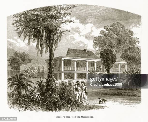 planter’s house on the mississippi river at new orleans, louisiana, united states, american victorian engraving, 1872 - louisiana plantation house stock illustrations