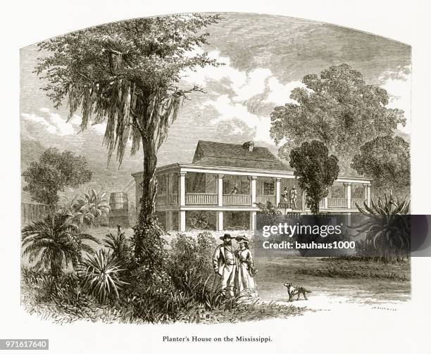 planter’s house on the mississippi river at new orleans, louisiana, united states, american victorian engraving, 1872 - plantation house stock illustrations