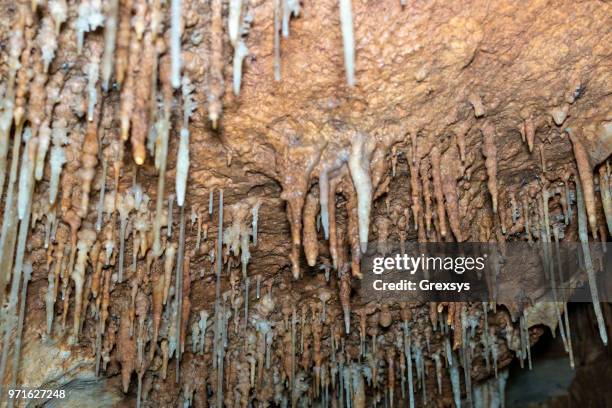 Rocks And Minerals From Texas Photos and Premium High Res Pictures ...