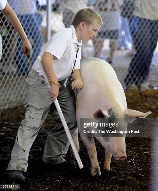 September 19, 2008 CREDIT: Mark Gail/TWP Leonardtown, MD ASSIGNMENT#:000000 EDITED BY: mg Tyler Cusic worked to direct his sister's hog around the...