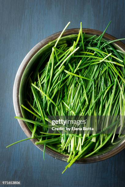 fresh chive - chive stock pictures, royalty-free photos & images