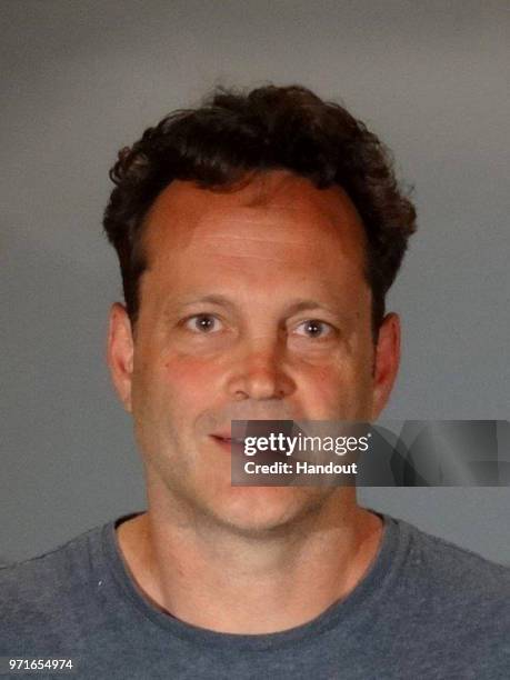 In this handout photo provided by the Manhattan Beach Police Department, actor Vince Vaughn is seen in a police booking photo after his arrest on...