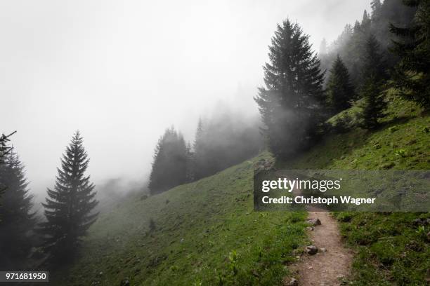 gipfel im nebel - gipfel bildbanksfoton och bilder