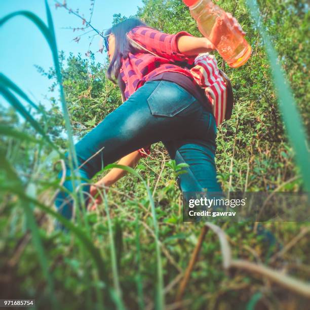 young woman hiking in mountain woods. - gawrav stock pictures, royalty-free photos & images