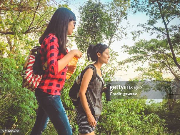 young women hiking in mountain woods. - gawrav stock pictures, royalty-free photos & images