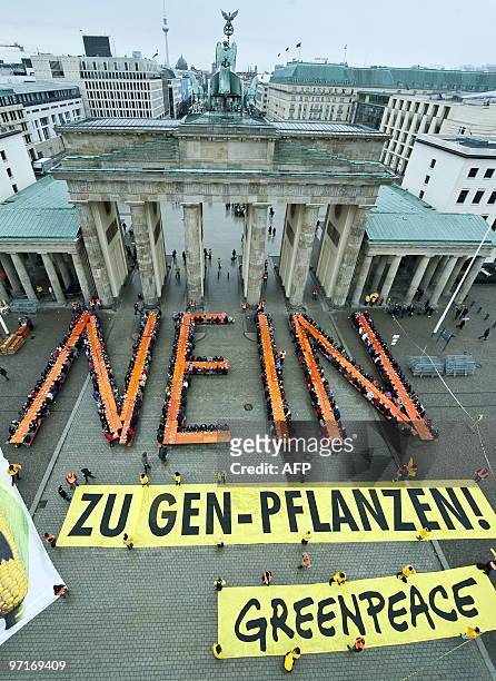Around 500 greenpeace activists build the word "NEIN" with tables and benches, completed with a banner reading "to genetically modified crops", in...