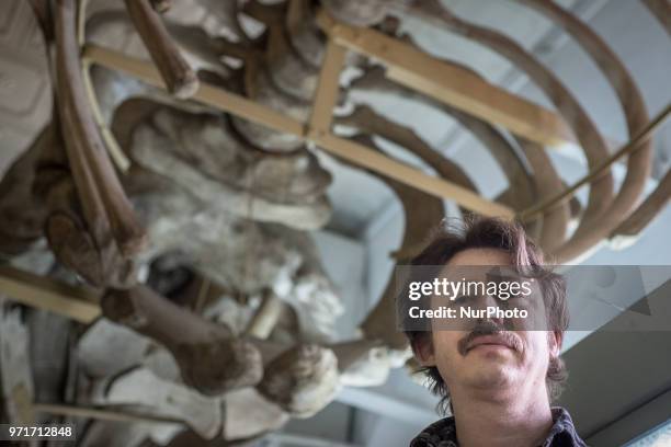 Pavel Goldin and the museum management examine the exhibit described by him in the National Museum of Natural History at the National Academy of...