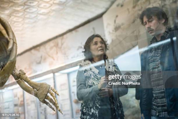 Pavel Goldin and the museum management examine the exhibit described by him in the National Museum of Natural History at the National Academy of...