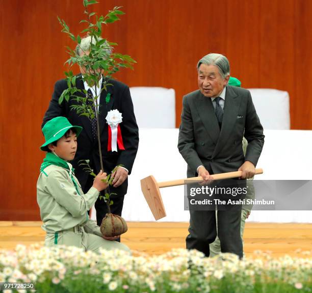 Emperor Akihito plants a young tree during the National Tree-Planting Festival on June 10, 2018 in Minamisoma, Fukushima, Japan. This 3-day trip...