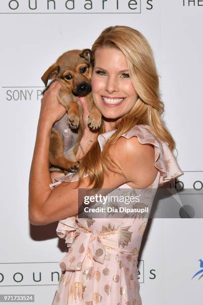 Beth Stern attends the "Boundaries" New York screening at The Roxy Cinema on June 11, 2018 in New York City.