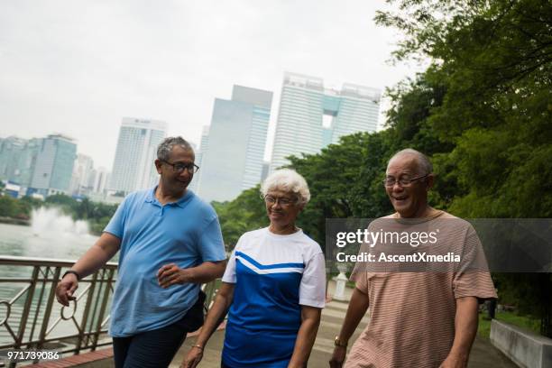 aktive senioren freunde, die einen gesunden lebensstil zu genießen - 3 old men jogging stock-fotos und bilder