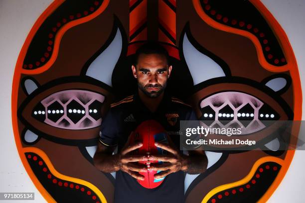 Shaun Burgoyne of the Hawthorn Hawks poses in front of an Indigenous artwork designed by teammate Cyril Rioli during a press conference at Waverley...