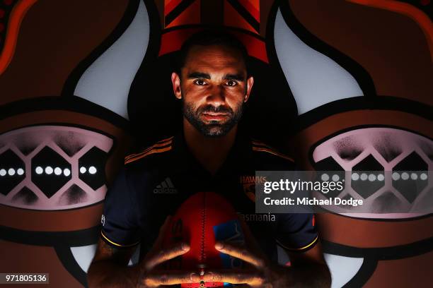 Shaun Burgoyne of the Hawthorn Hawks poses in front of an Indigenous artwork designed by teammate Cyril Rioli during a press conference at Waverley...