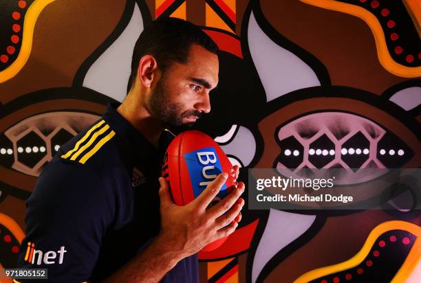 Shaun Burgoyne of the Hawthorn Hawks poses in front of an Indigenous artwork designed by teammate Cyril Rioli during a press conference at Waverley...