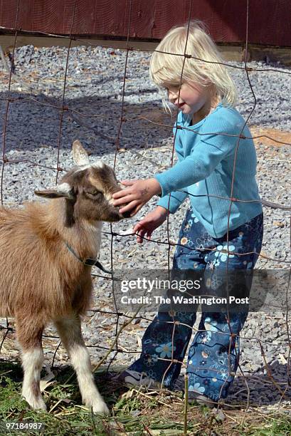 Lexy Lyalikov gets to know a little goat at Butler's Orchard.