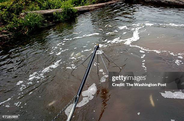 Me/snakehead date: May 26, 2004 photog: Gerald Martineau Pohick Bay area of Potomac River neg: 155981 We join VA DEPT. Of Fish & Wildlife personnal...