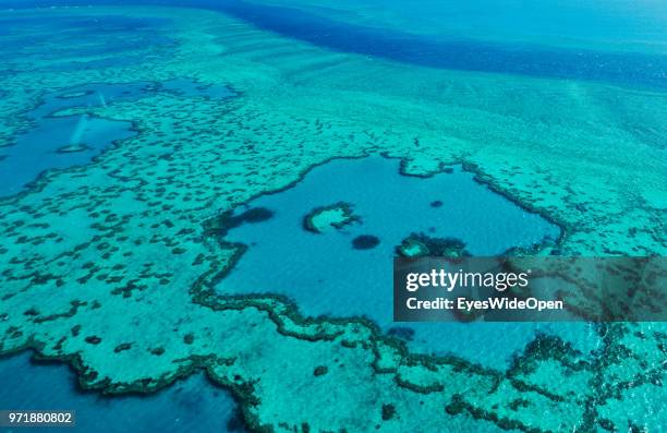 Aerial view of coral banks, reef systems and the pacific ocean on November 20, 2015 in Great Barrier Reef, Australia.