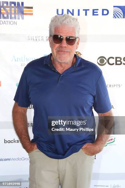 Ron Perlman attends SAG-AFTRA Foundation's 9th Annual L.A. Golf Classic benefiting emergency sssistance at Lakeside Golf Club on June 11, 2018 in...