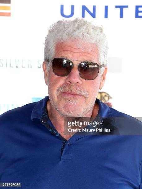 Ron Perlman attends SAG-AFTRA Foundation's 9th Annual L.A. Golf Classic benefiting emergency sssistance at Lakeside Golf Club on June 11, 2018 in...