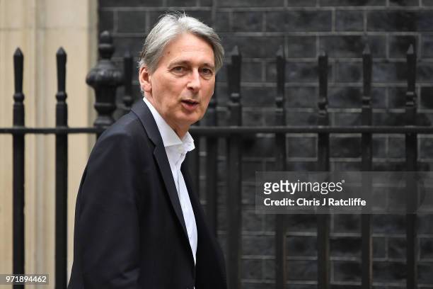 Chancellor of the Exchequer Philip Hammond arrives for a cabinet meeting at 10 Downing Street on June 12, 2018 in London, England.