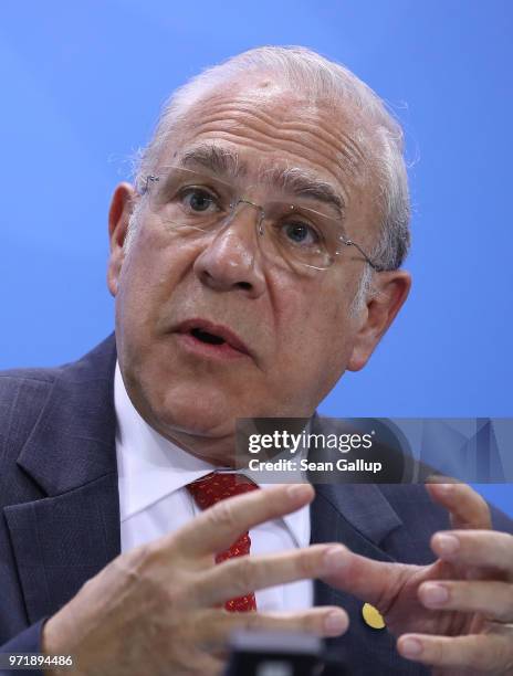 The Organization for Economic Cooperation and Development Secretary-General Angel Gurria answers a reporter's question following talks at the...