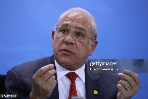 The Organization for Economic Cooperation and Development Secretary-General Angel Gurria answers a reporter's question following talks at the...