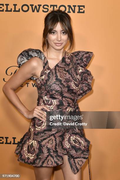 Noureen DeWulf attends the "Yellowstone" World Premiere at Paramount Studios on June 11, 2018 in Los Angeles, California.