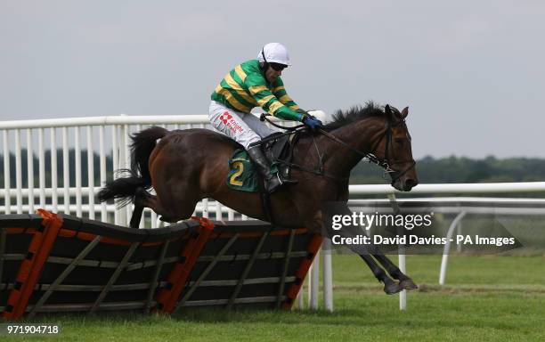 Delirant ridden by Tom Scudamore in the Bangor Bet Maiden Hurdle at Bangor-on-Dee Racecourse. PRESS ASSOCIATION Photo. Picture date: Tuesday June 5,...