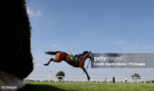 Massinis Adventure at Bangor-on-Dee Racecourse. PRESS ASSOCIATION Photo. Picture date: Tuesday June 5, 2018. See PA story RACING Bangor. Photo credit...