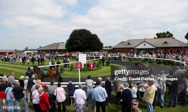 Parade ring at Bangor-on-Dee Racecourse. PRESS ASSOCIATION Photo. Picture date: Tuesday June 5, 2018. See PA story RACING Bangor. Photo credit should...