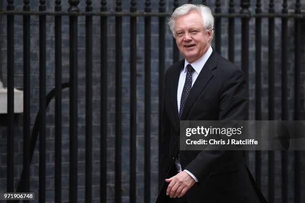 Brexit Secretary David Davis arrives for a cabinet meeting at 10 Downing Street on June 12, 2018 in London, England.