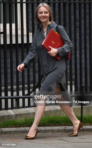 Chief Secretary to the Treasury, Liz Truss, arrives in Downing Street, London, for a Cabinet meeting.