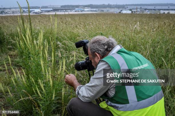 Roland Seitre, employee of the 'Hop Bio Diversité' association takes picture in a field on June 8, 2018 at the Roissy Charles de Gaulle airport,...